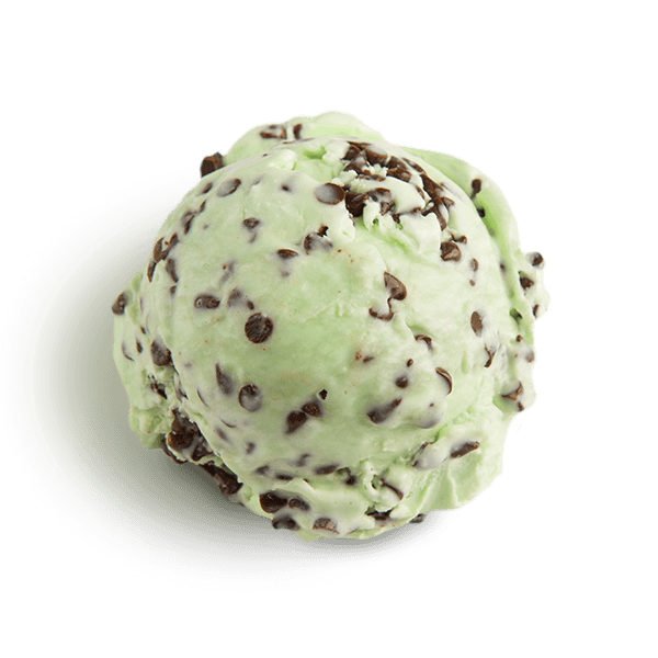 mint_chocolate_chip ice cream